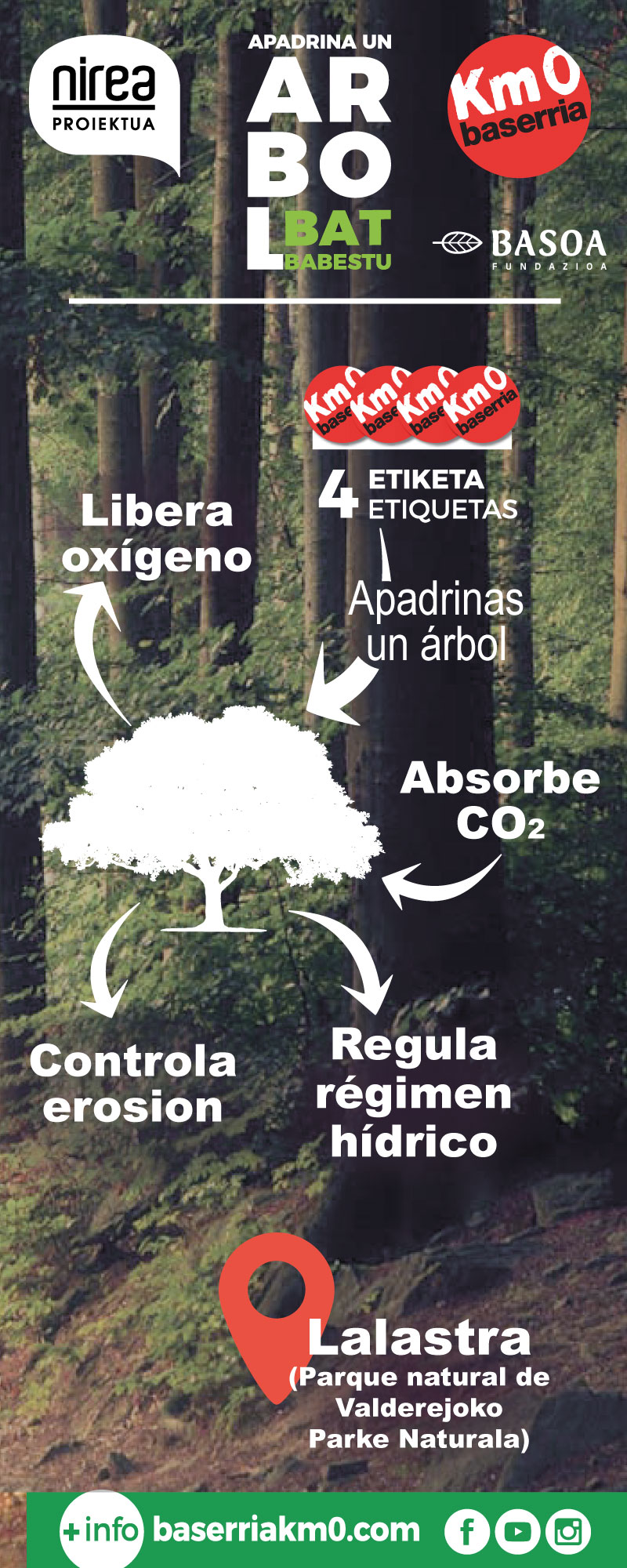 Proyecto Apadrina un árbol