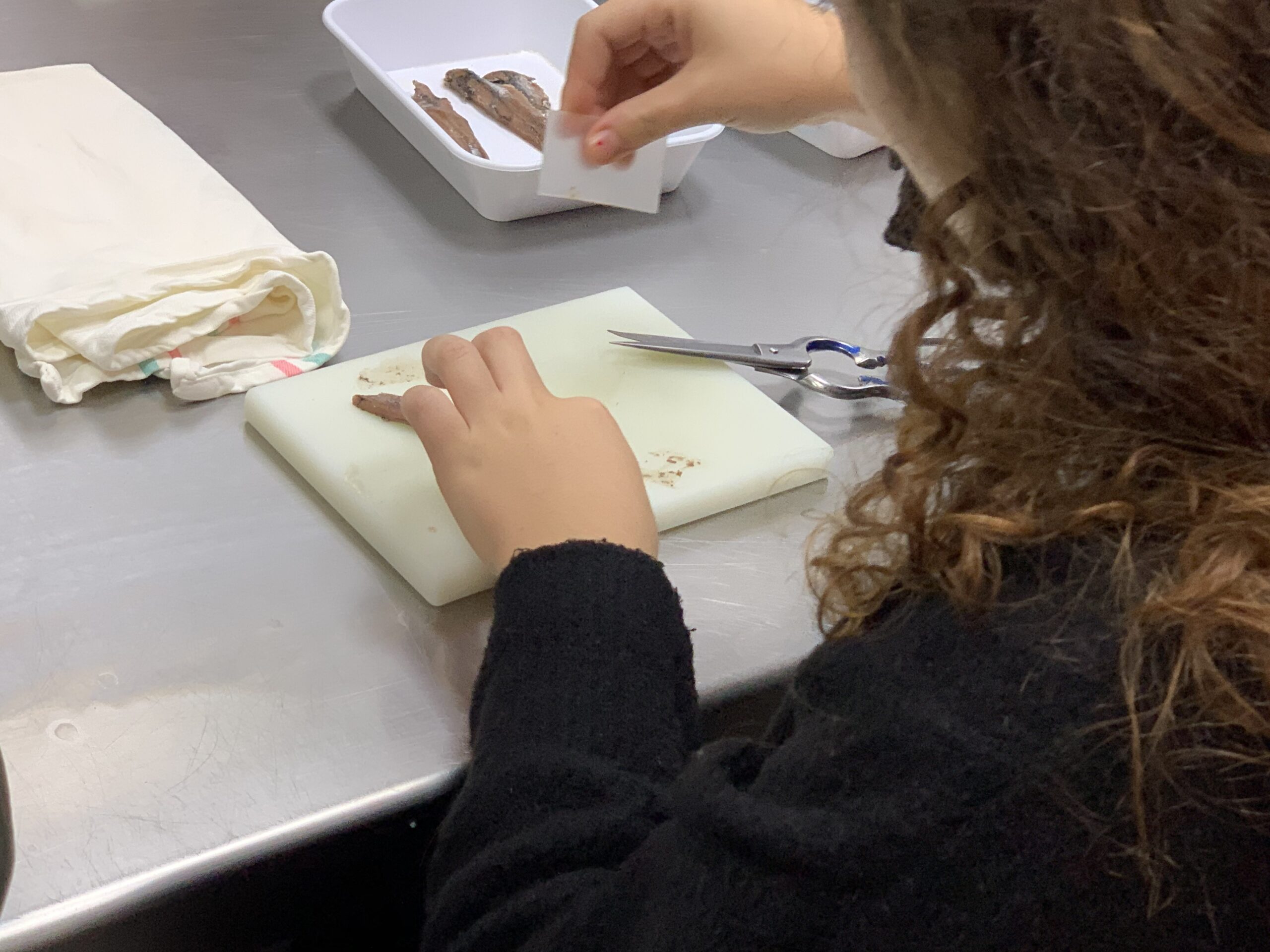 Antxoak garbitzen Maisor-en (Getaria)